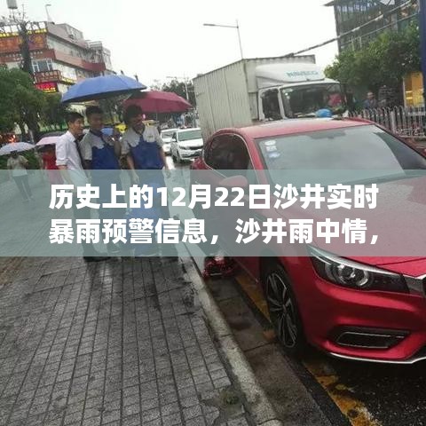 沙井暴雨预警故事，温馨日常的预警与关怀