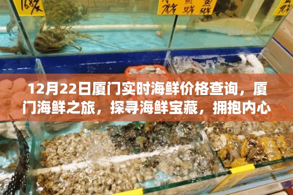 厦门海鲜之旅，探寻宝藏海鲜，实时价格查询与宁静体验