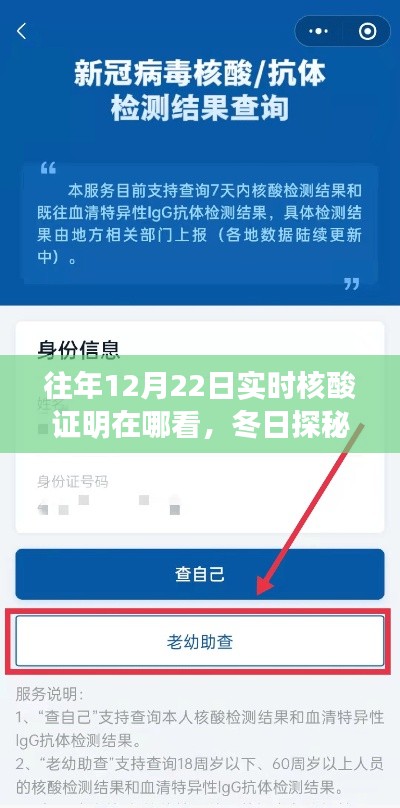 冬日探秘，寻找往年12月22日核酸证明的小故事与实时查询攻略