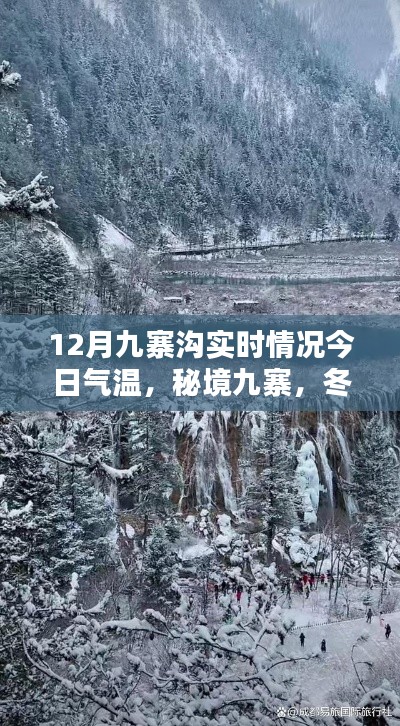 秘境九寨冬日探秘，今日气温与十二月九寨沟实时情况揭秘