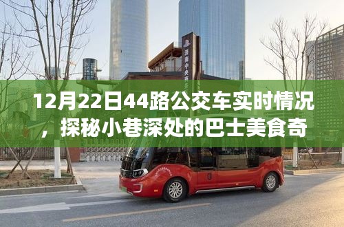 探秘美食奇遇，12月22日44路公交车的美食之旅实况播报