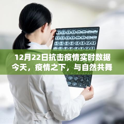 疫情下的心灵之旅，与自然共舞，寻找内心的平静与力量（实时数据更新）