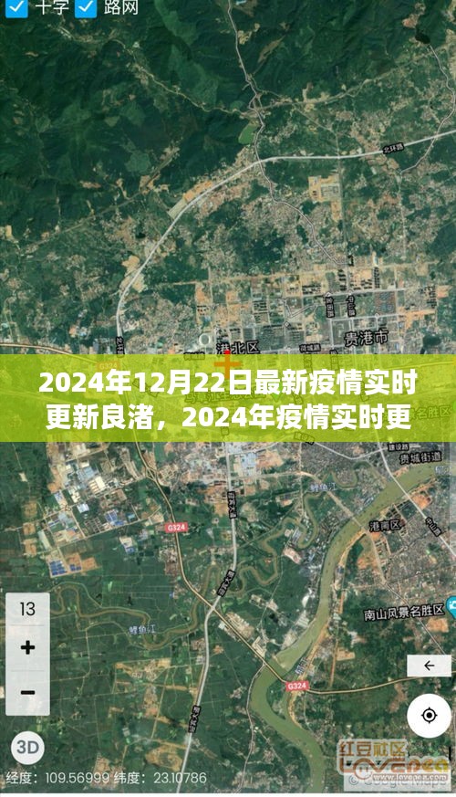 2024年良渚疫情实时更新全面评测与深度分析