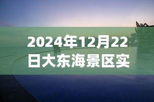 大东海景区之旅，探索自然美景，寻找内心的宁静与喜悦（实时报道）