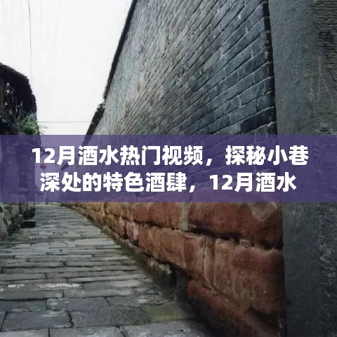 探秘小巷深处的特色酒肆，独家揭秘十二月酒水热门视频