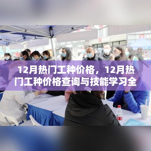 12月热门工种价格详解，查询指南与技能学习攻略