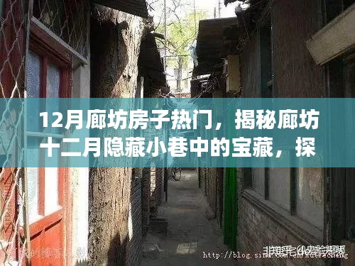 揭秘廊坊十二月隐藏小巷中的宝藏房源与特色小店故事，探寻独特魅力房源的奇妙之旅