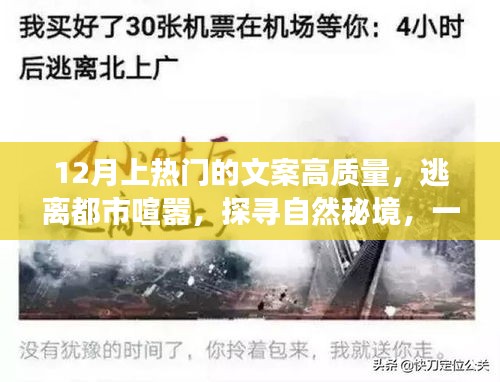 探寻自然秘境，心灵之旅，逃离都市喧嚣的十二月热门文案
