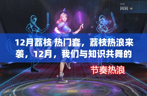 12月荔枝热浪来袭，知识之舞的季节