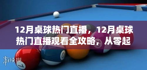 从零起步到精彩对决，12月桌球直播观看全攻略与热门对决指南