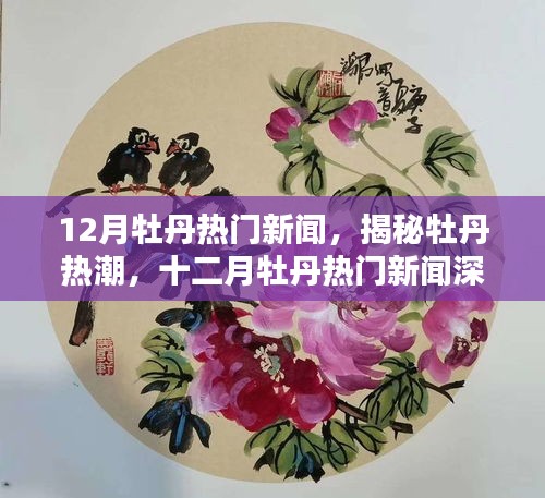 揭秘十二月牡丹热潮，热门新闻深度解析