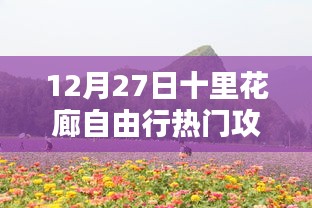 科技赋能生活，十里花廊智能自由行攻略（12月27日版）