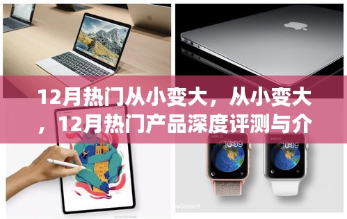 12月热门产品深度评测与介绍，从小变大，全面解析