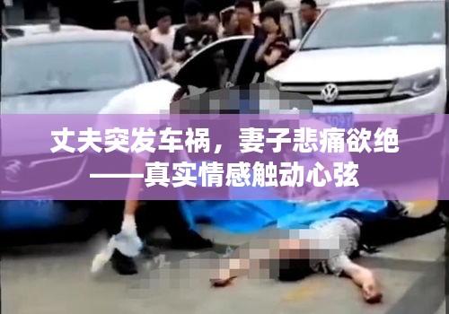 丈夫突发车祸，妻子悲痛欲绝——真实情感触动心弦