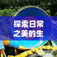 探索日常之美的生活专题