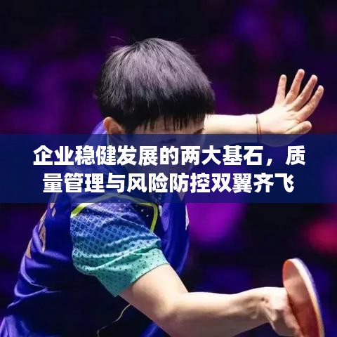 企业稳健发展的两大基石，质量管理与风险防控双翼齐飞