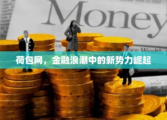 荷包网，金融浪潮中的新势力崛起