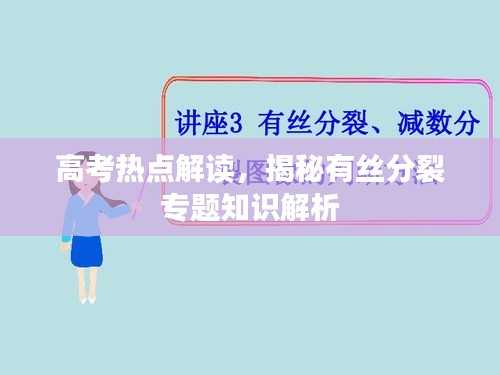 高考热点解读，揭秘有丝分裂专题知识解析