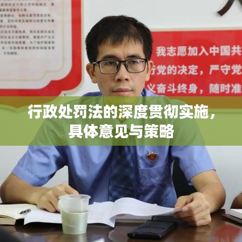 行政处罚法的深度贯彻实施，具体意见与策略