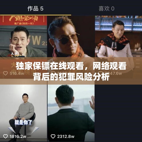 独家保镖在线观看，网络观看背后的犯罪风险分析