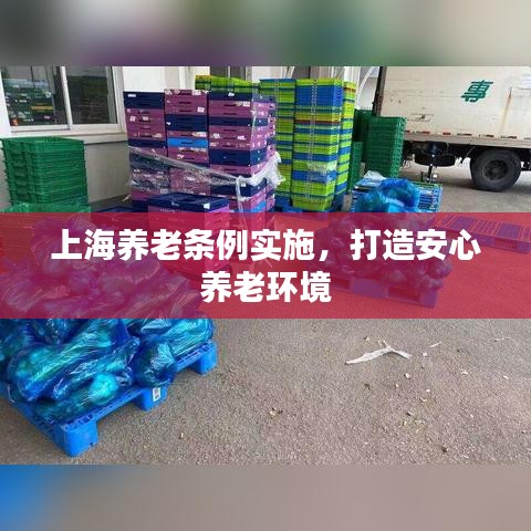 上海养老条例实施，打造安心养老环境