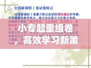 小专题重组卷，高效学习新策略助力提升学习效能