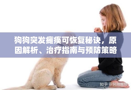狗狗突发瘫痪可恢复秘诀，原因解析、治疗指南与预防策略