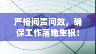 严格问责问效，确保工作落地生根！