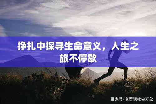 挣扎中探寻生命意义，人生之旅不停歇
