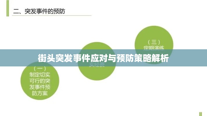 街头突发事件应对与预防策略解析