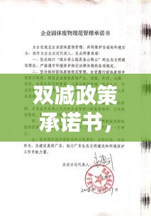 双减政策承诺书，坚定执行，不负承诺，共筑教育未来！