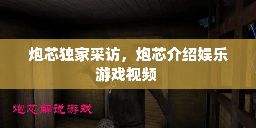 炮芯独家采访，炮芯介绍娱乐游戏视频 