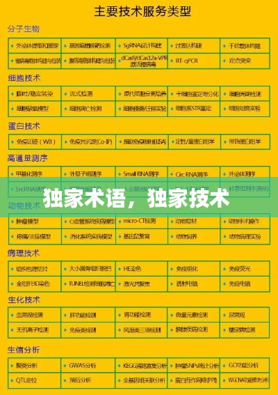 独家术语，独家技术 