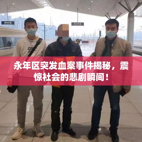 永年区突发血案事件揭秘，震惊社会的悲剧瞬间！