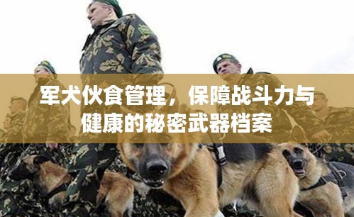 军犬伙食管理，保障战斗力与健康的秘密武器档案