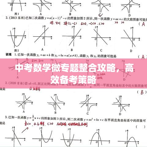 小家碧玉 第2页