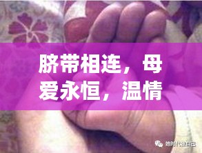脐带相连，母爱永恒，温情长存