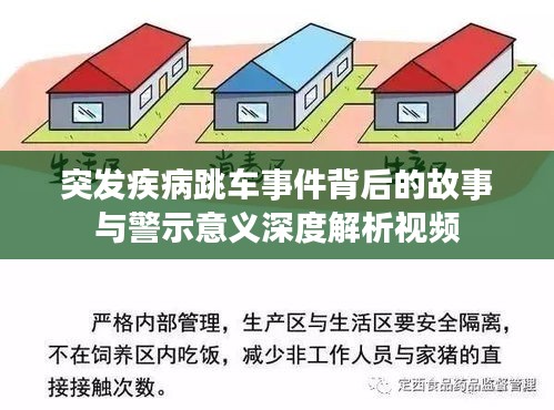 突发疾病跳车事件背后的故事与警示意义深度解析视频