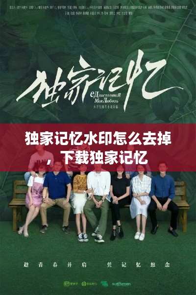 独家记忆水印怎么去掉，下载独家记忆 