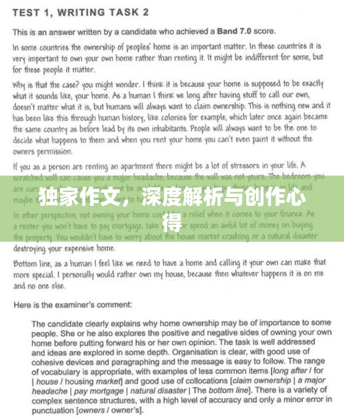 独家作文，深度解析与创作心得