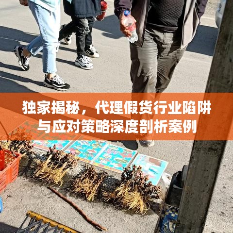 独家揭秘，代理假货行业陷阱与应对策略深度剖析案例