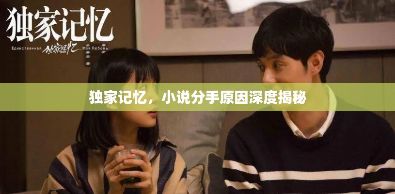 独家记忆，小说分手原因深度揭秘