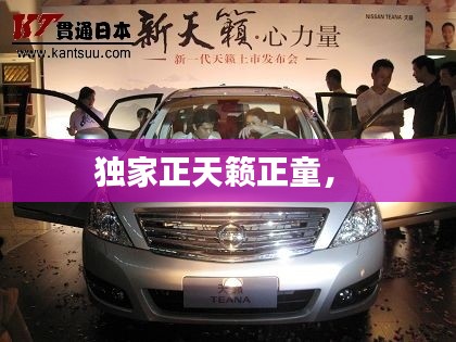 日就月将 第2页
