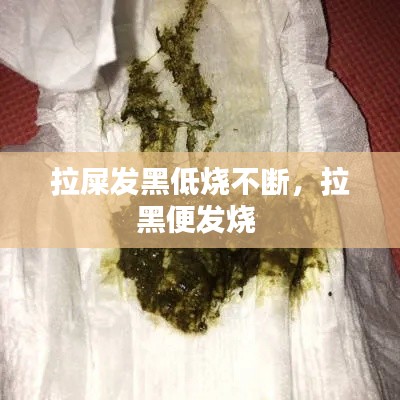 拉屎发黑低烧不断，拉黑便发烧 