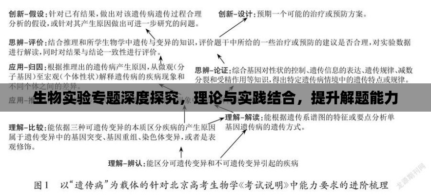 生物实验专题深度探究，理论与实践结合，提升解题能力