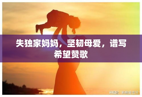 失独家妈妈，坚韧母爱，谱写希望赞歌