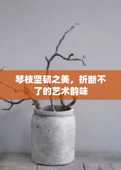 琴枝坚韧之美，折断不了的艺术韵味