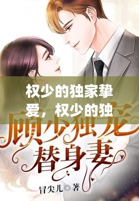 权少的独家挚爱，权少的独家宠爱免费阅读全文曲清歌 
