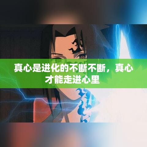 真心是进化的不断不断，真心才能走进心里 