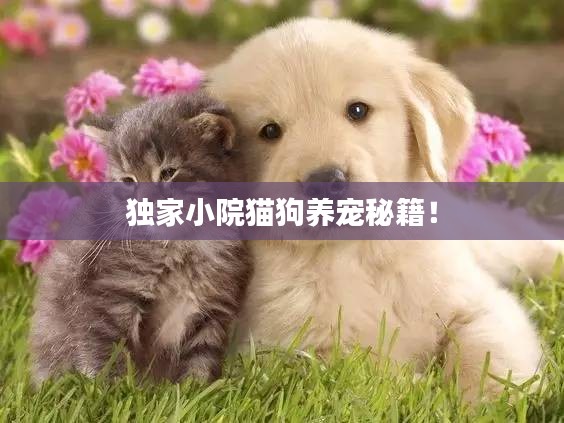 独家小院猫狗养宠秘籍！